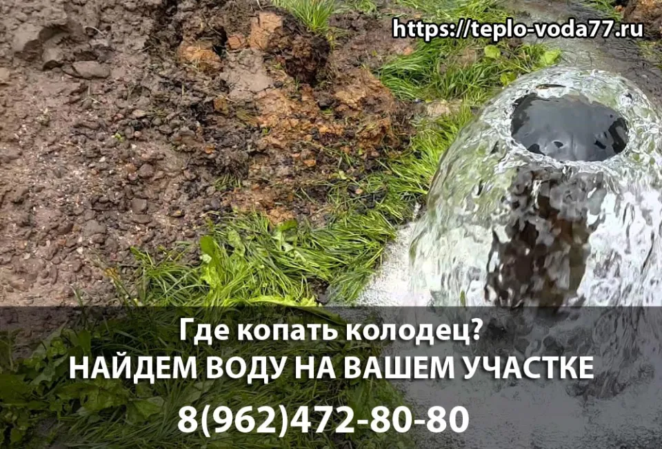 Поиск воды на участке в Пушкино перед копкой колодца
